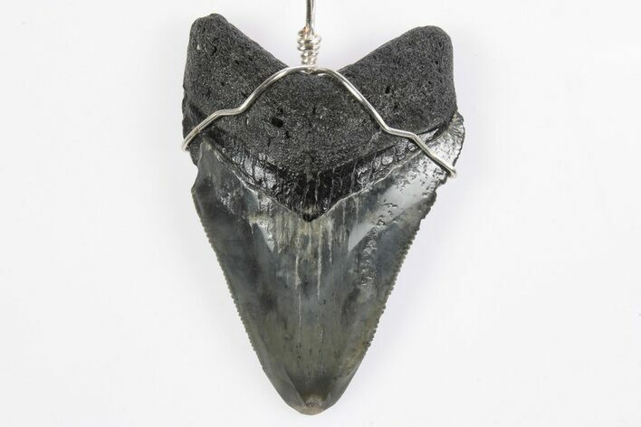 Fossil Juvenile Megalodon Tooth Necklace - Serrated #241972